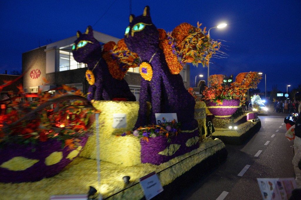 ../Images/Bloemencorso Noordwijkerhout 185.jpg